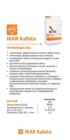 IKAR Kalisto
