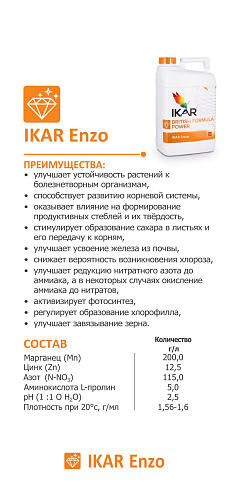 IKAR Enzo
