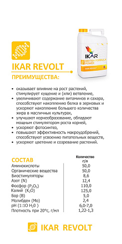 IKAR Revolt