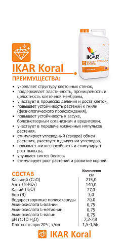 IKAR Koral