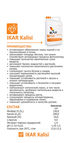 IKAR Kalisi