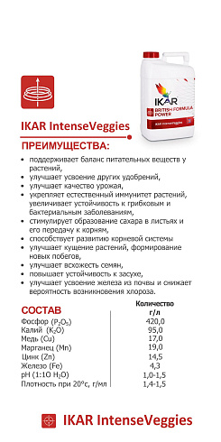 IKAR IntenseVeggies