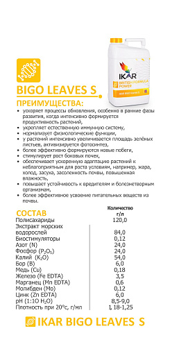 IKAR BIGO LEAVES S