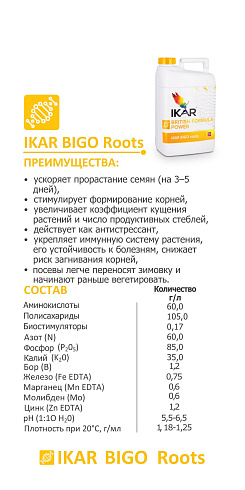 IKAR BIGO Roots